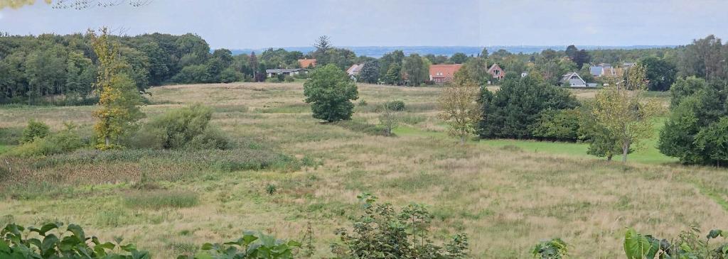 a field of grass with trees and houses in the background at Idyllic in Tranekær