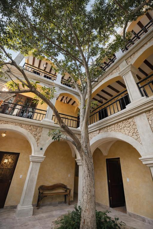 a tree in front of a building with balconies at Casa Lucia Valladolid in Valladolid