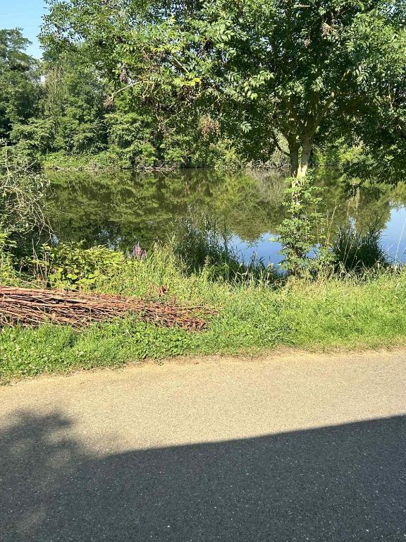 a body of water next to a road with trees and grass at maison indépendante in Millery