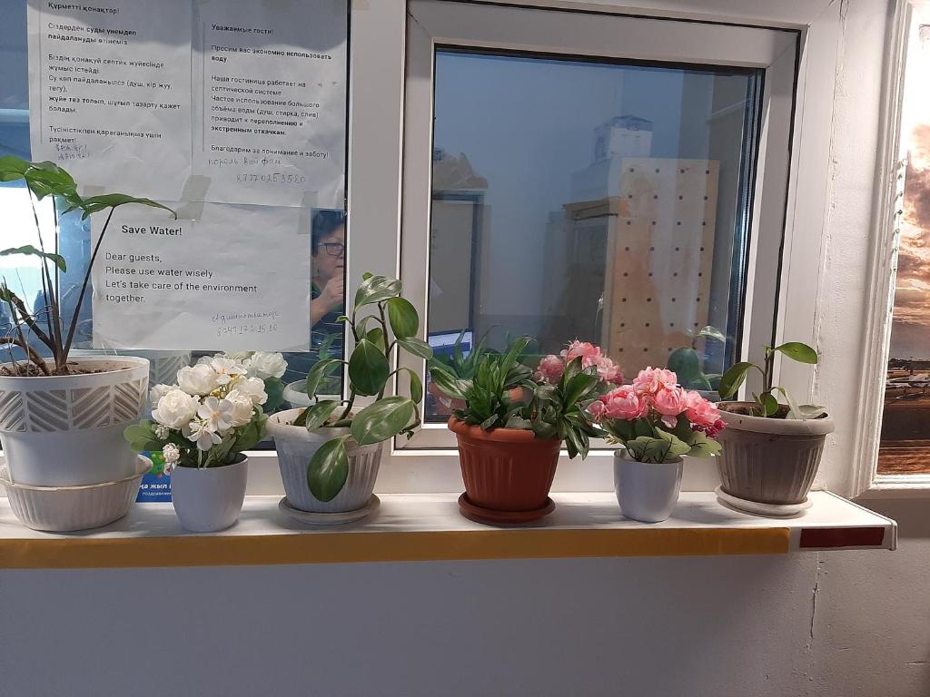 فضای داخلی Aerodrom Hotel - Hostel در آلماتی - تصویر ۳