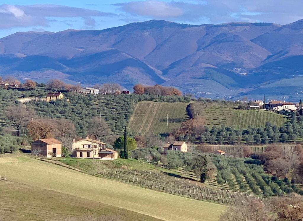 a house on a hill with mountains in the background at Residenza Marrone in Montefalco