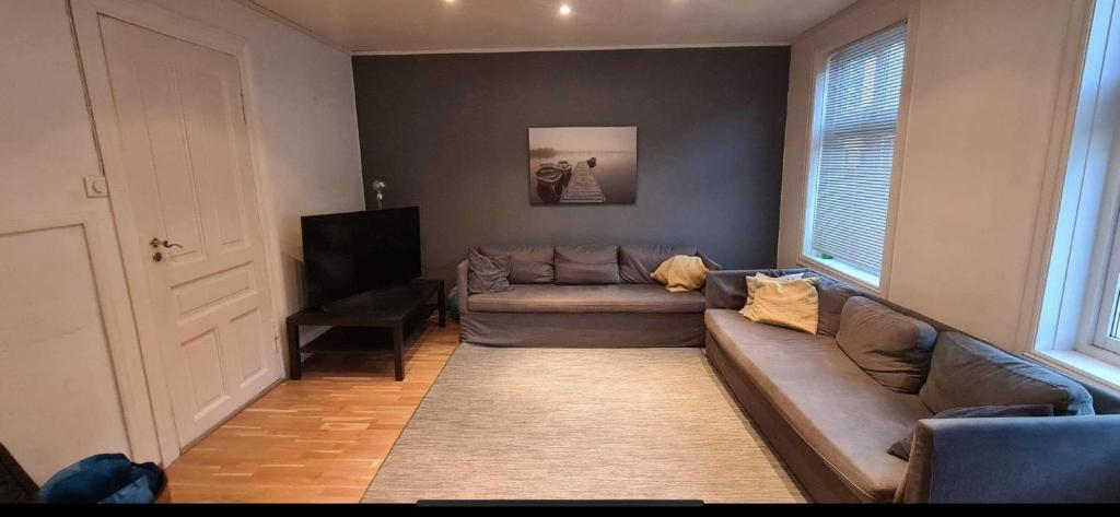 a living room with a couch and a television at Central Stay Odda in Odda