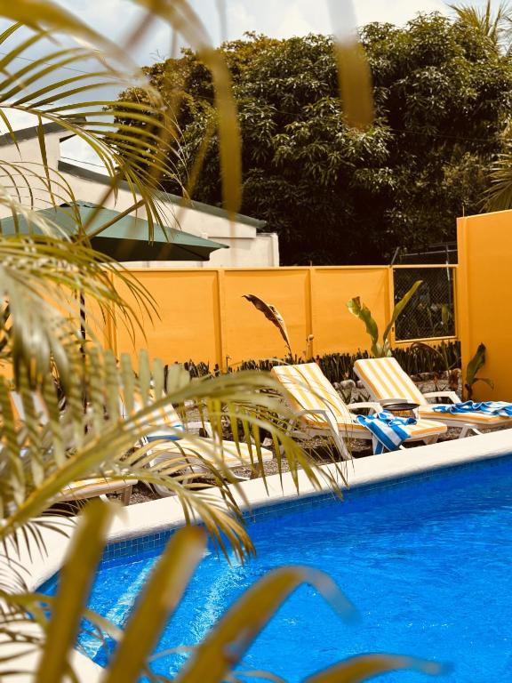 a row of lounge chairs next to a swimming pool at Casitas Amarillas in Uvita