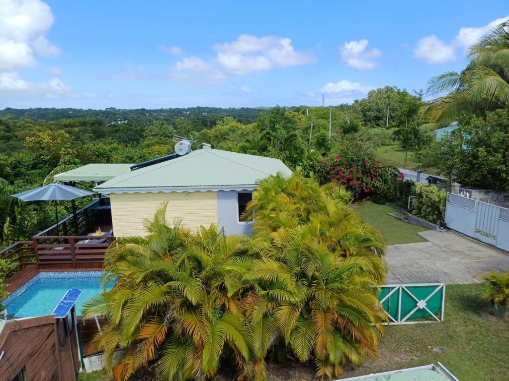 an aerial view of a house with a swimming pool and palm trees at LES MULTIPLIANTS in Le Moule
