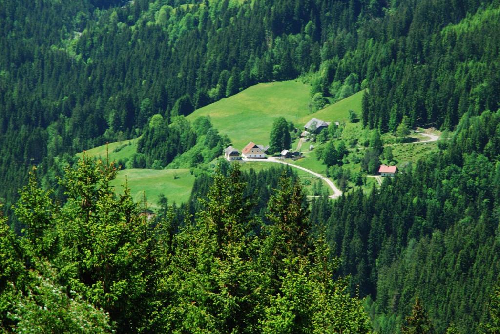 Příroda nedaleko apartmánu