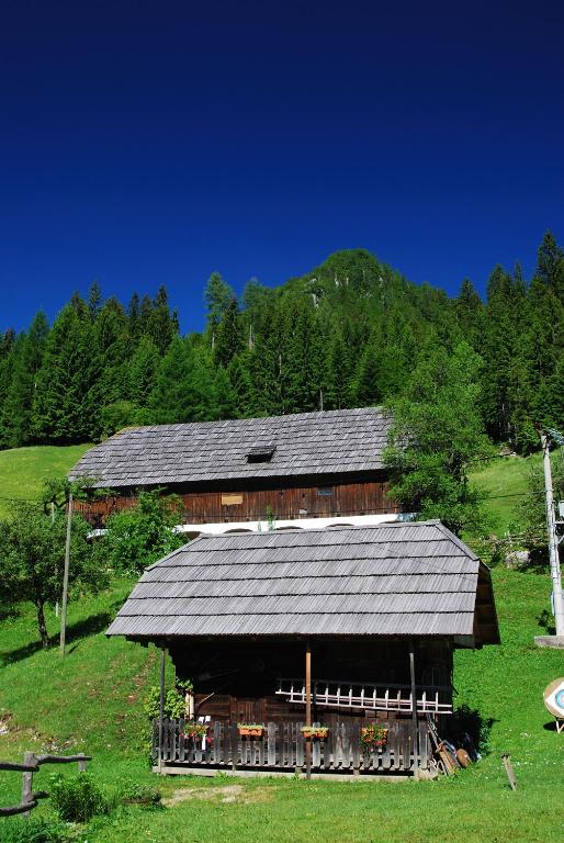 Příroda nedaleko apartmánu