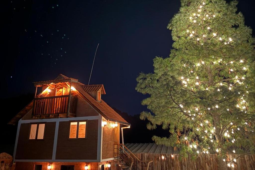 a house with a christmas tree in front of it at Cabaña El real in Cedro
