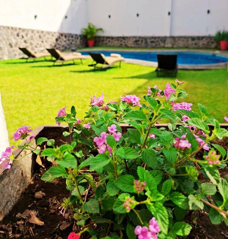 a garden with pink flowers and a swimming pool at Casa Adonai in Temixco