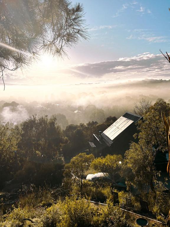 a building in the middle of a forest with fog in the background at Wren House Victor Harbor in Victor Harbor