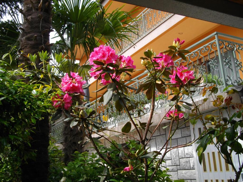 Gallery image of Apartmani Nives in Lovran