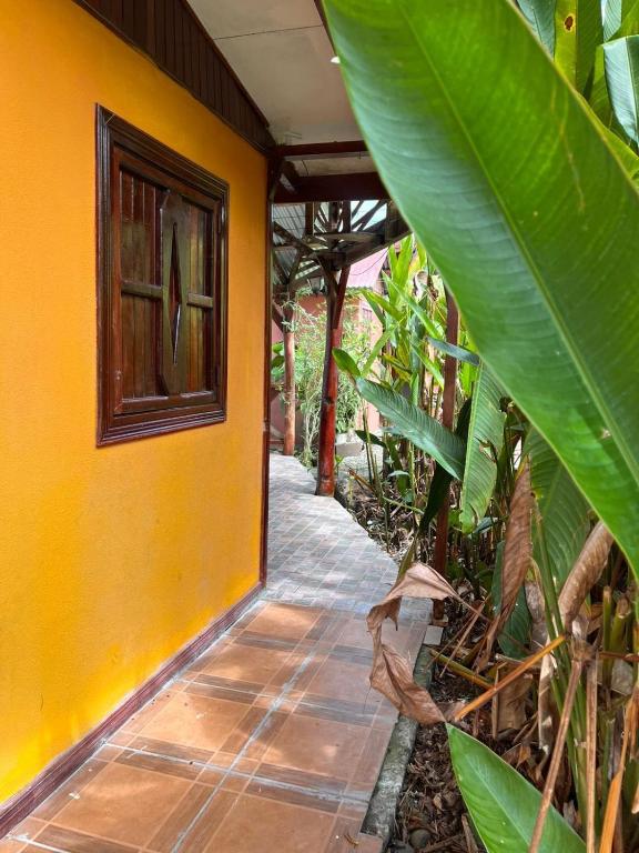 a yellow building with a window and some plants at Cabinas Cable Talamanca in Puerto Viejo