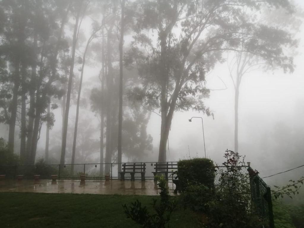 a foggy park with a park bench and trees at New Holiday Bungalow in Diyatalawa