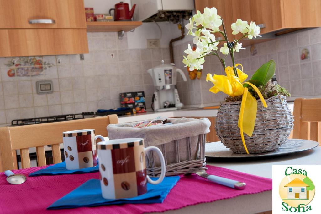 Casa Sofia -Airport free shuttle-H24 - 9