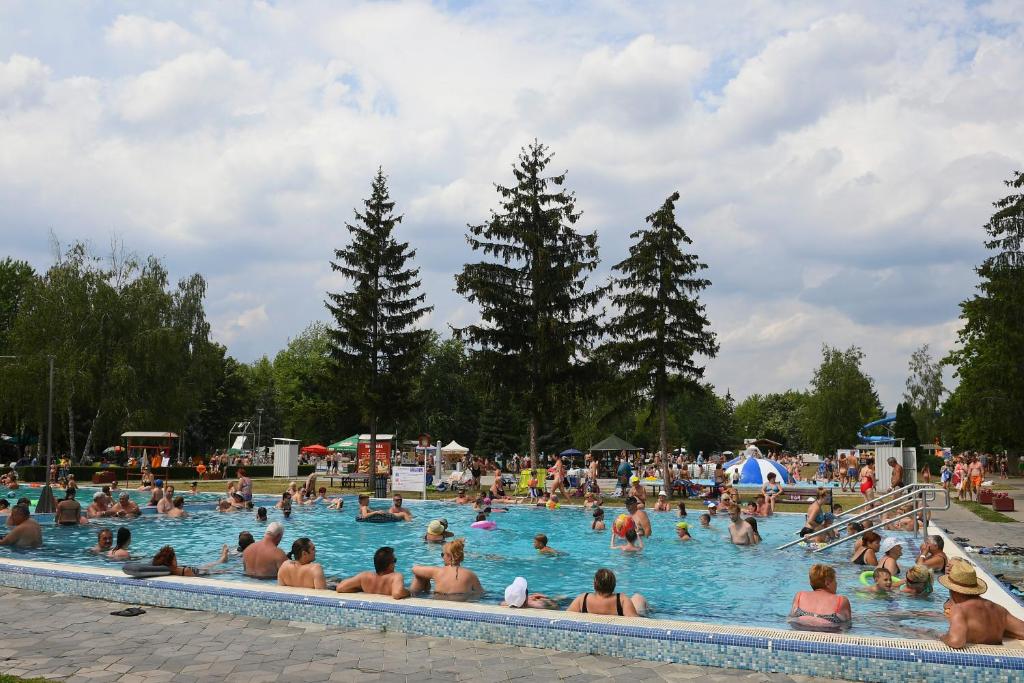 Bazén v ubytování Rajna VillaBridge&SPA nebo v jeho okolí