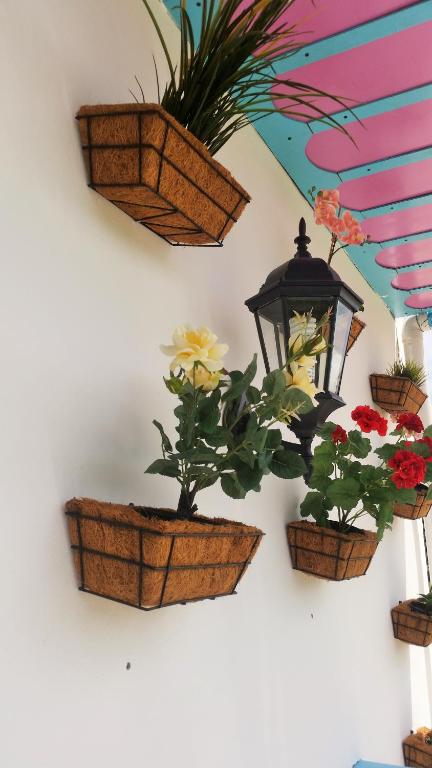 Fotografie z fotogalerie ubytování Hostal Johnnier Macao Punta Cana v destinaci Punta Cana