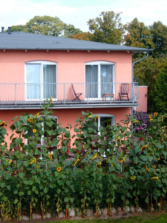 Zahrada ubytování Pension Waldeck