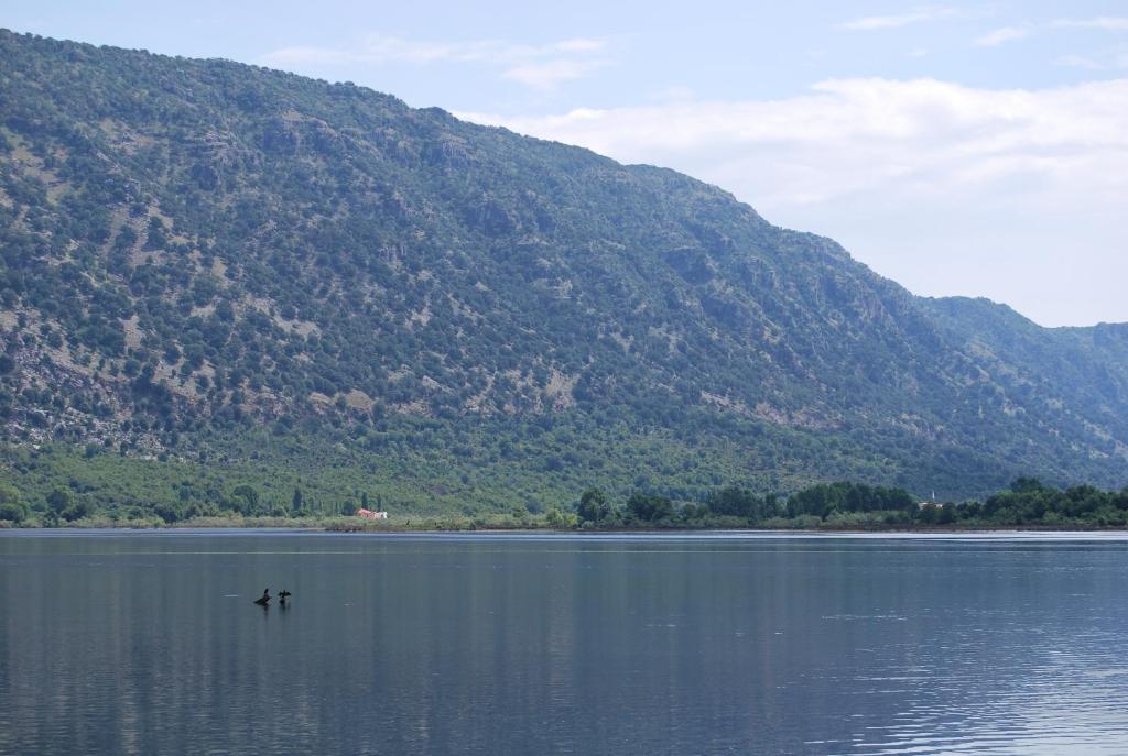 a bird flying over a body of water with a mountain at H and H Guesthouse in Velipojë