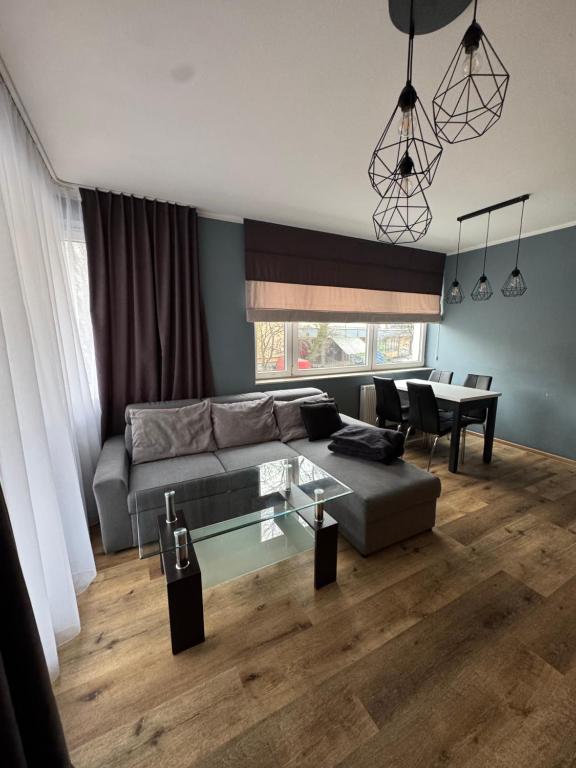 Apartament Panoramiczna - 1