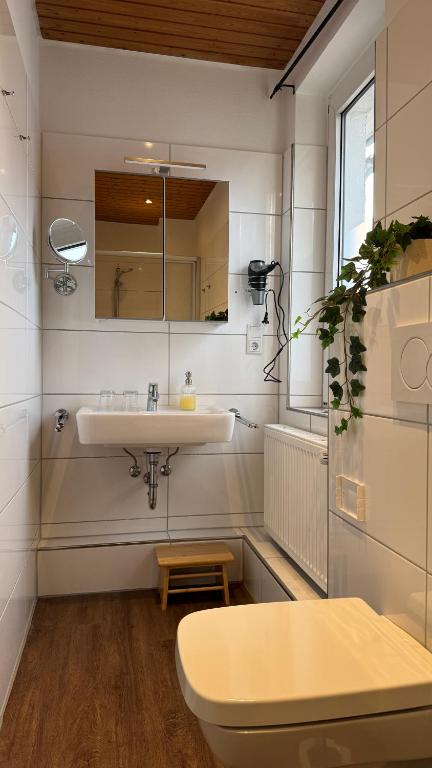 Ferienwohnungen & Apartments Schulte - Apartamento De Un Dormitorio Con Balcón