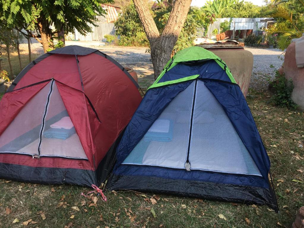 The Little Lopburi Village - Carpa