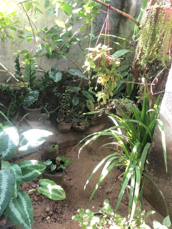 Rusara Guest Home - 9