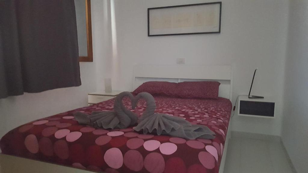 Zdjęcie z galerii obiektu Panelo Cactus Apartment w Puerto del Carmen