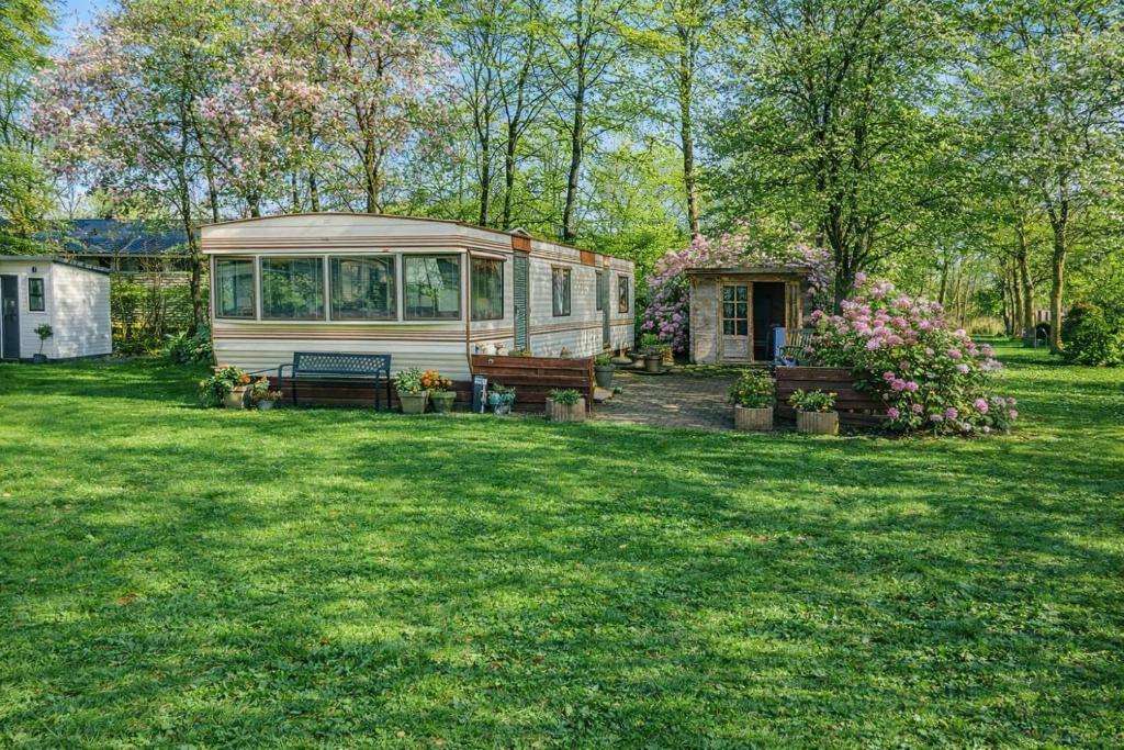 camp half blood t shirt Percy Jackson and the Olympians ens T-Shirt