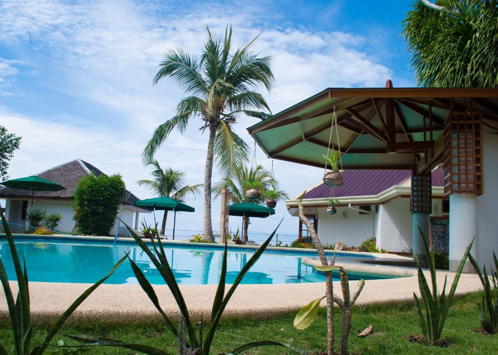 Bazén v ubytování Quo Vadis Dive Resort nebo v jeho okolí