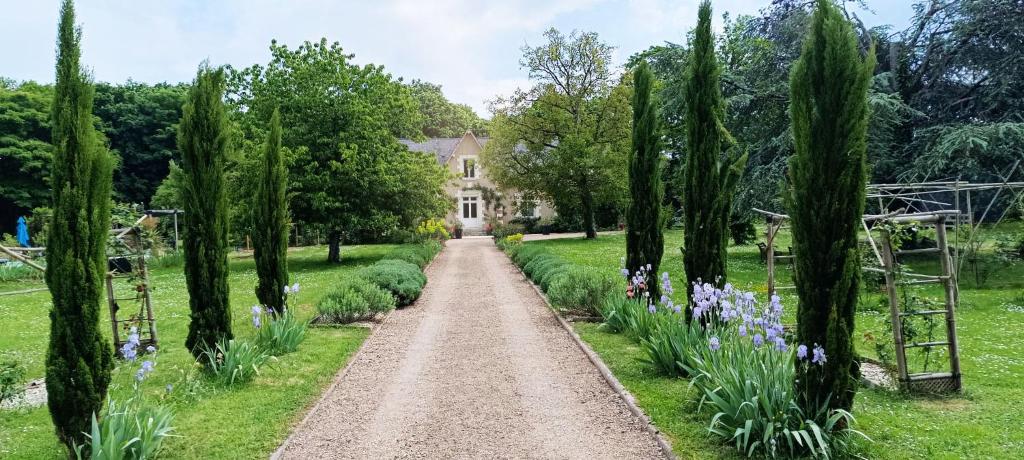 a dirt road in front of a house with trees at Le Clos de la Commanderie in Amboise