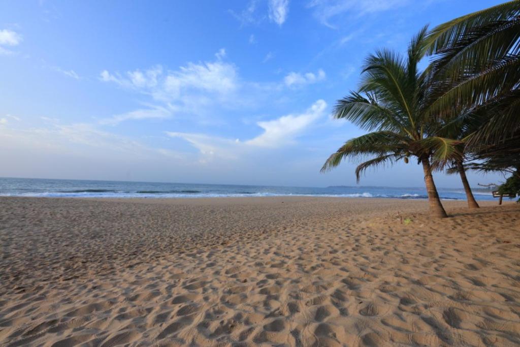 two palm trees on a sandy beach with the ocean at Mangrove Beach Cabana in Tangalle