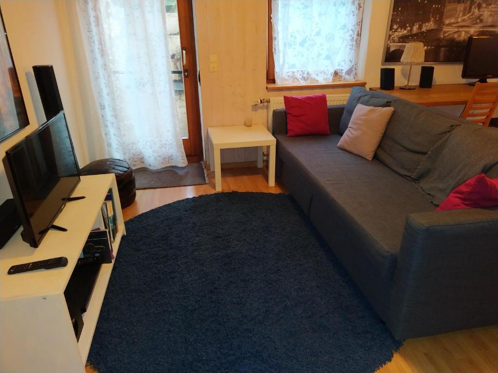 a living room with a couch and a television at Appartement Silvia in Ammerbuch