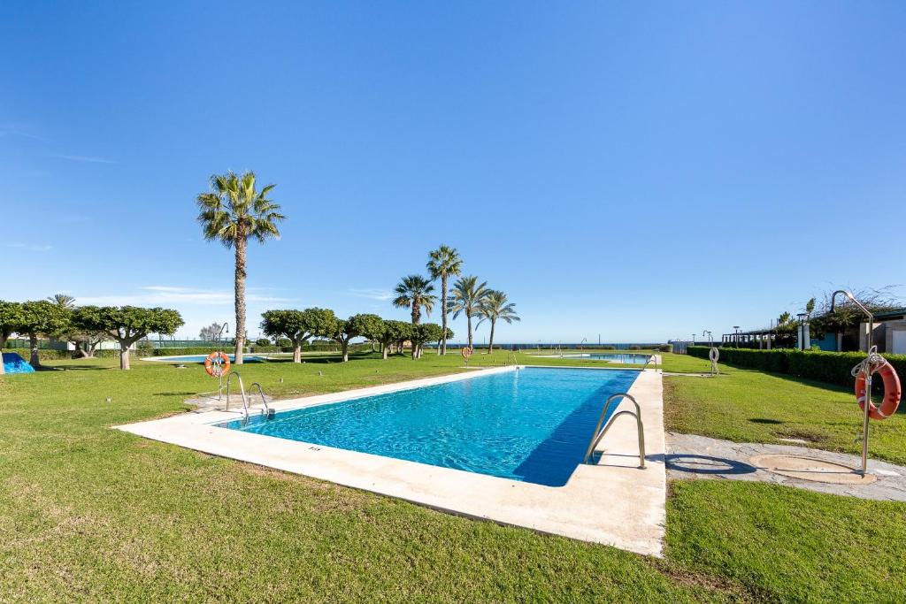 a swimming pool in a field with palm trees at Apartamento Luz De Baria in Vera