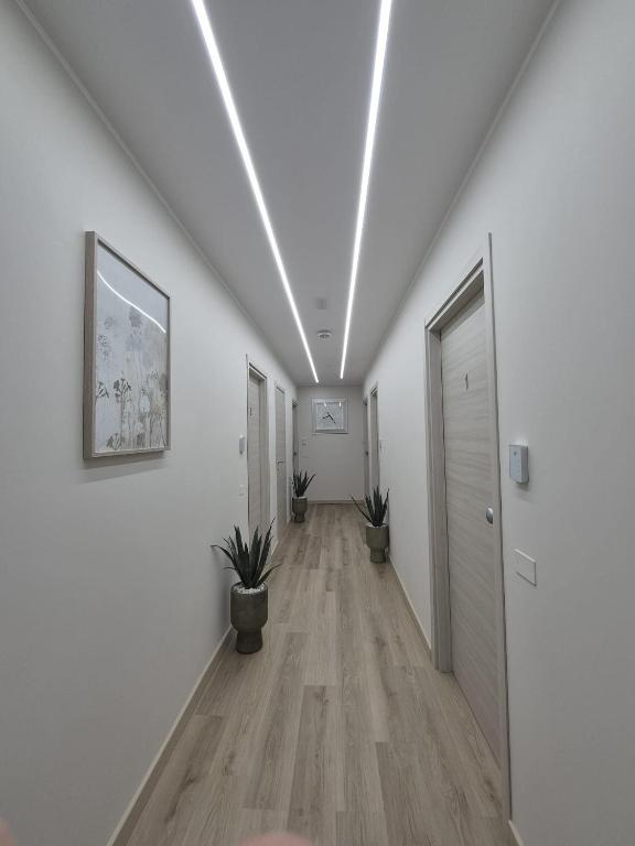 a hallway with white walls and a hallway with potted plants at The Best Bed & Breakfast in Amantea