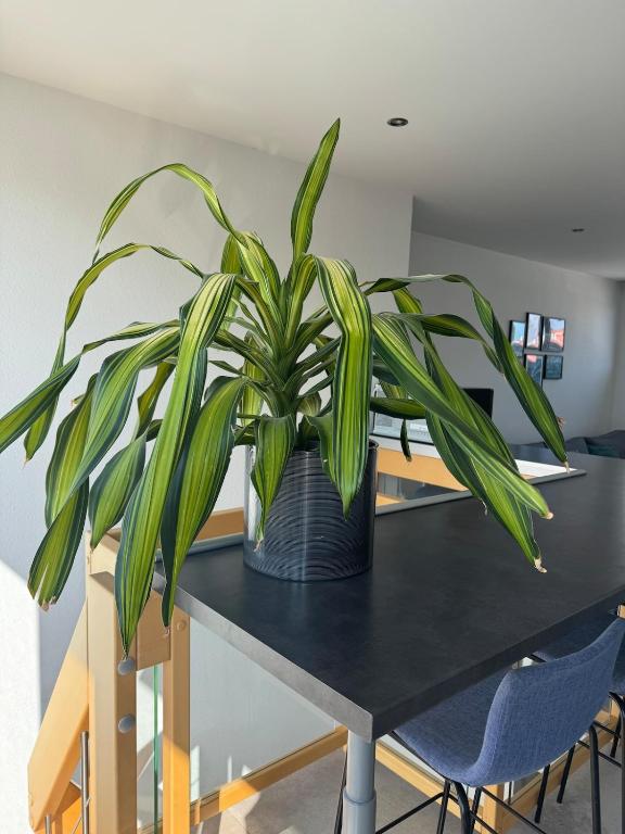 Duplex 70 sqm 5mn from Basel 1 free parking – photo 10