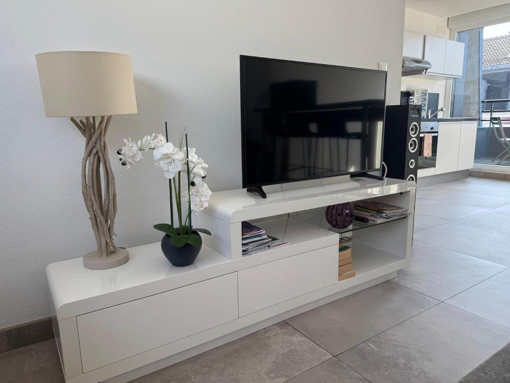 Duplex 70 sqm 5mn from Basel 1 free parking – photo 5