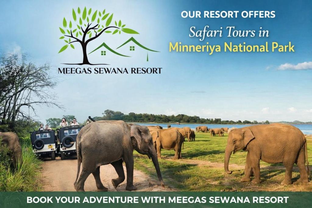 a group of elephants walking in front of a vehicle at Meegas Sewana Resort in Minneriya