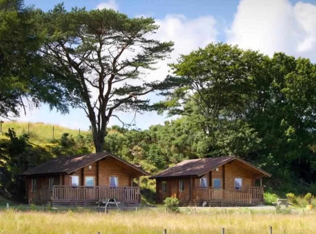 two wooden cottages in a field with a tree at Eas Lodge in Tobermory