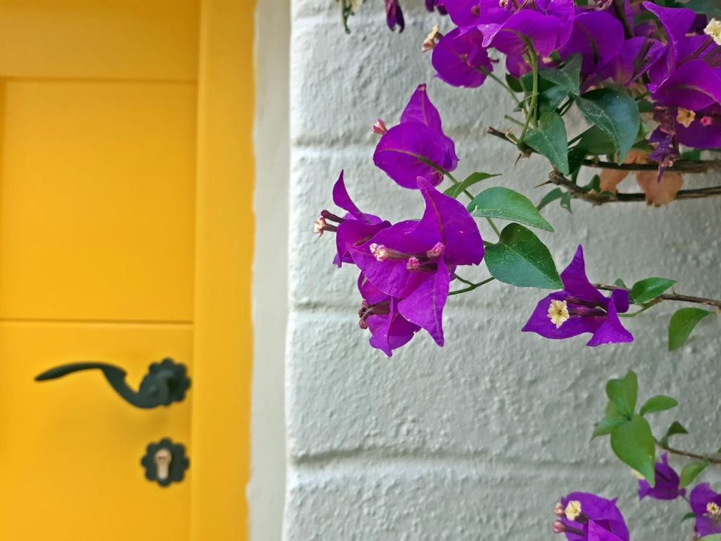 a bunch of purple flowers hanging on a wall at Kostoulis Traditional House in Lefkes