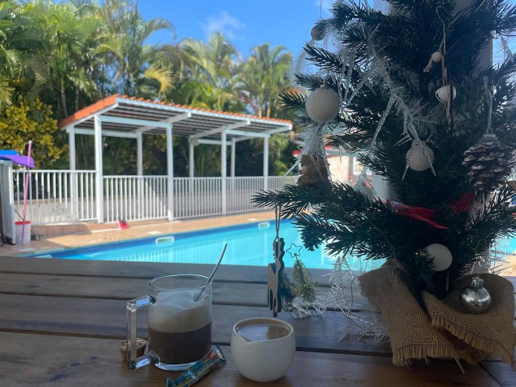 a christmas tree on a table next to a swimming pool at Le fil à eau 2 pièces centre sud in Rivière-Salée