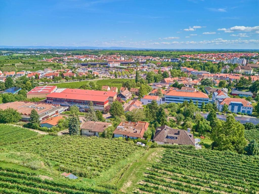 an aerial view of a small town in a vineyard at Weinbergnest in Bad Dürkheim