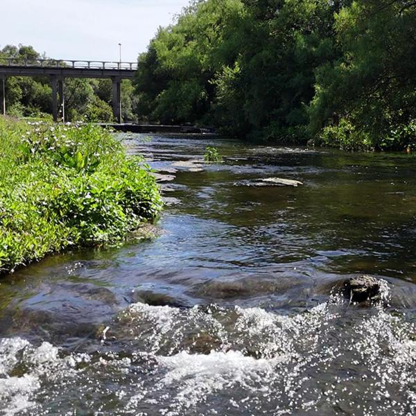 The Yerbal Thermal House