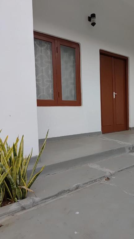 a door and a plant in front of a building at Thoughtfully Updated 1960s Jaffna House in Jaffna