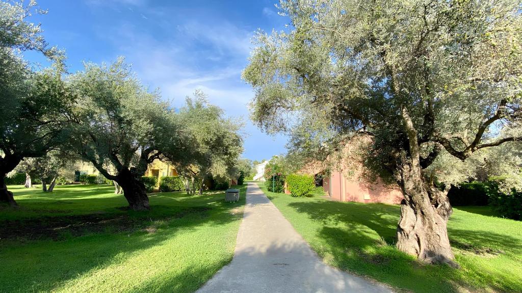 a path in a park with trees and grass at Charme by the Sea, Sant'Andrea in SantʼAndrea Apostolo dello Ionio