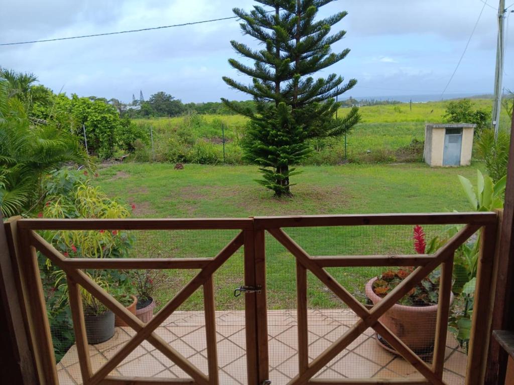 a view of a pine tree from a balcony at Acacia Retreat in Île La Fond
