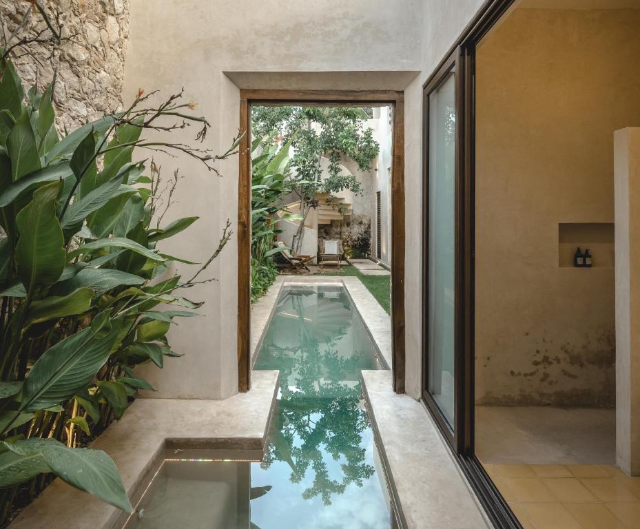 an external view of a swimming pool in a house at Luxury Suite by La Casa Verde in Campeche