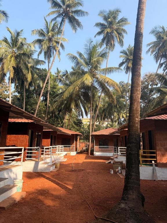a group of palm trees in front of a building at Silver Shark Boutique Villas in Ajgaon