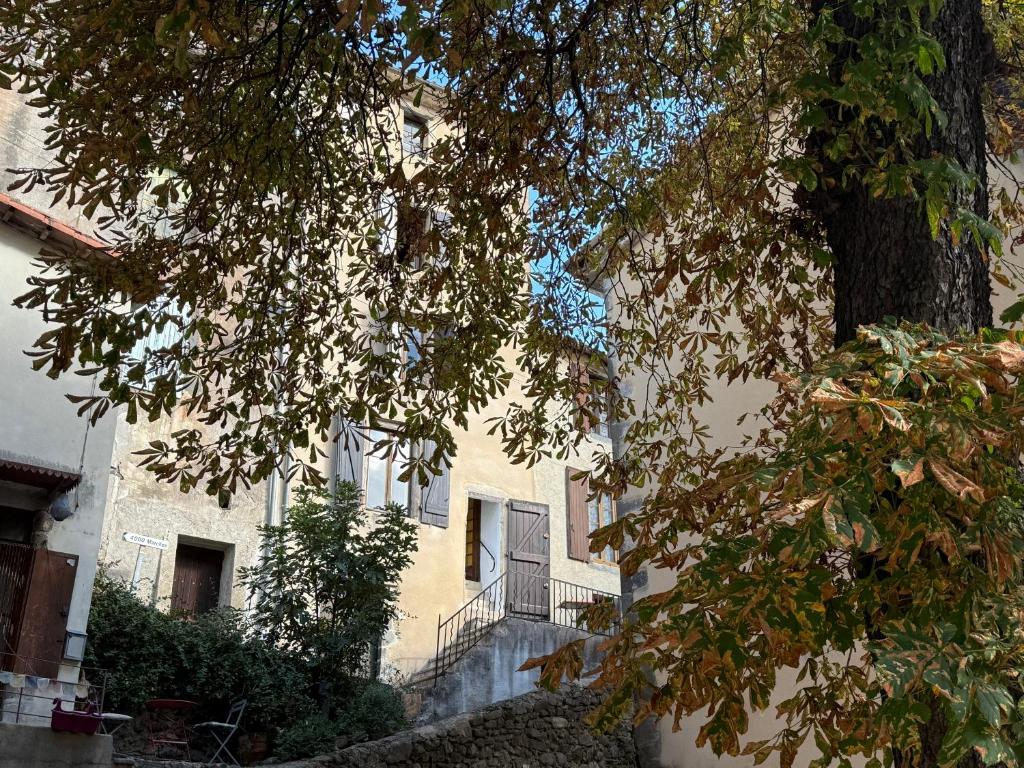 a building with a staircase in front of a tree at Chez Julie in Valleraugue