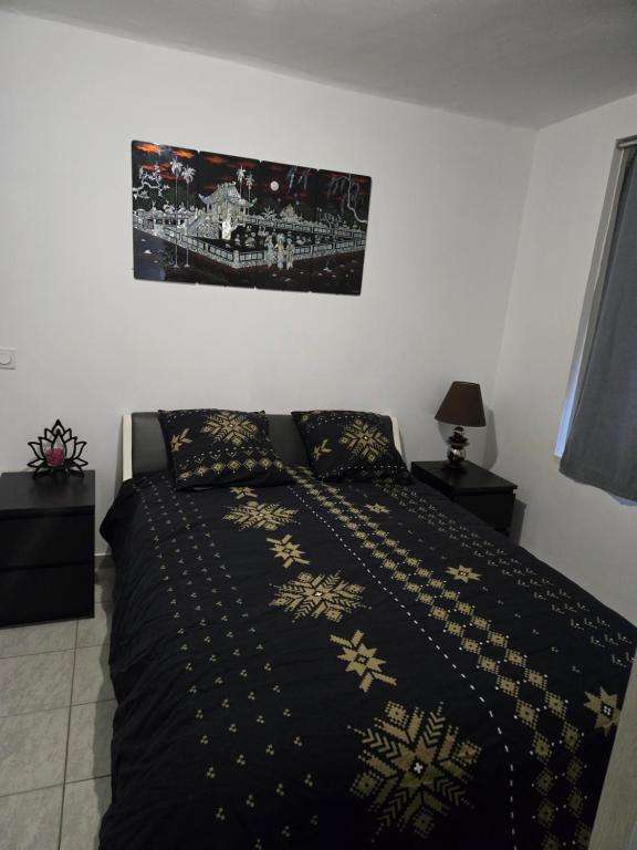 a bedroom with a bed with a black and gold blanket at Le cocon de mag in Miramas