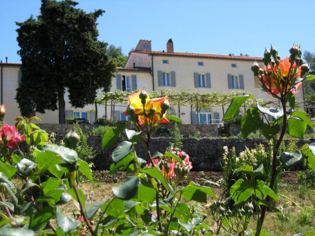 a garden with flowers and a building in the background at Podere Riparbella in Massa Marittima