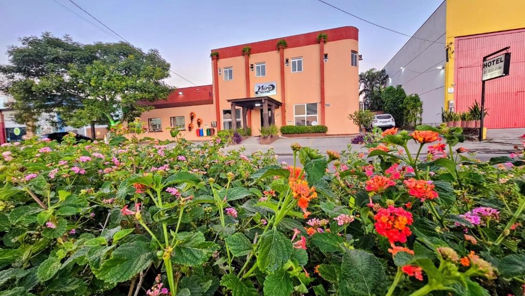 ein Blumengarten vor einem Gebäude in der Unterkunft Hotel Niro in Montenegro